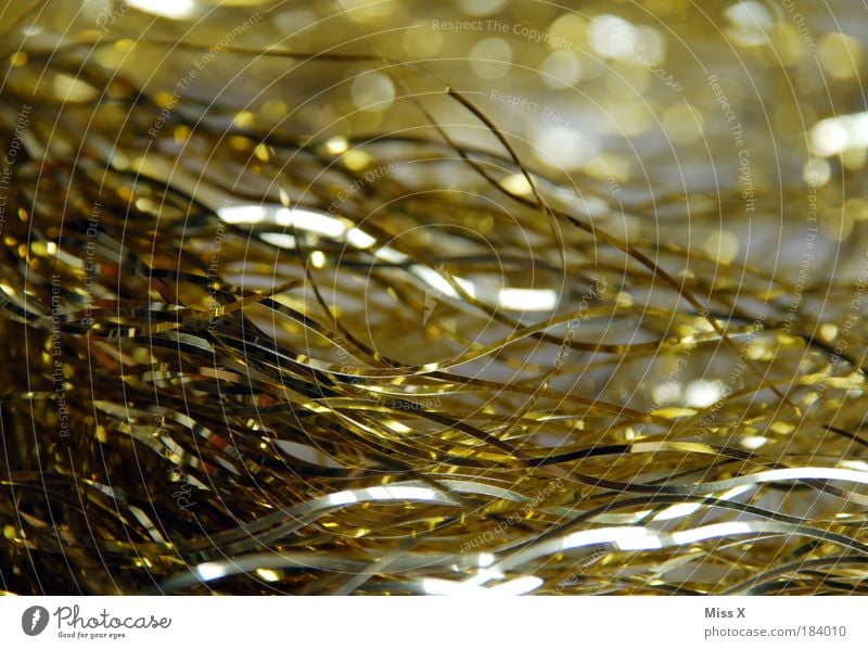 tinsel Interior shot Close-up Detail Macro (Extreme close-up) Deserted Copy Space right Copy Space top Copy Space bottom Copy Space middle Day Reflection