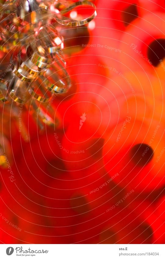 Christmas card Colour photo Interior shot Close-up Detail Macro (Extreme close-up) Abstract Pattern Structures and shapes Artificial light Flash photo Light