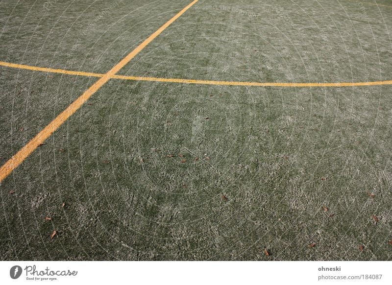 midline Colour photo Exterior shot Pattern Structures and shapes Deserted Copy Space bottom Leisure and hobbies Playing Soccer Sporting Complex Football pitch