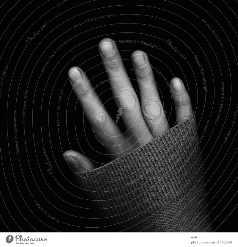 hand Feminine Hand Fingers Fingernail Sweater sleeve Touch Cold Loneliness Stretching Hide Cover Black & white photo Detail Experimental Neutral Background