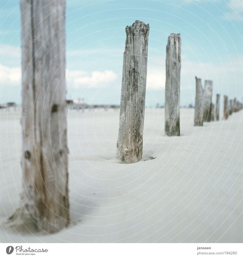 1862247 Vacation & Travel Trip Summer Beach Environment Nature Sand Sky North Sea Relaxation Far-off places St. Peter-Ording Wood Wooden stake Colour photo