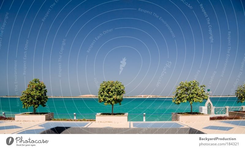 View of the Gulf of the coast of Abu Dhabi Colour photo Exterior shot Deserted Copy Space top Day Contrast Sunlight Deep depth of field Panorama (View)