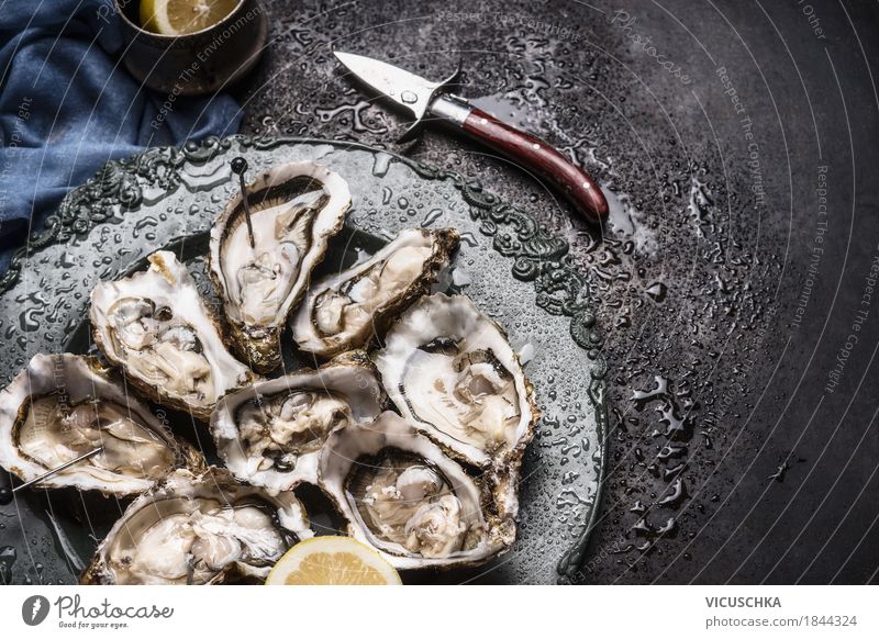 Oysters with lemon and oyster knife Food Seafood Nutrition Banquet Crockery Knives Style Design Healthy Eating Restaurant Plate Open Lemon Food photograph