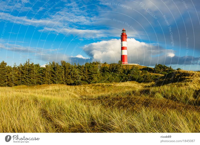 Lighthouse in Wittdün on the island Amrum Relaxation Vacation & Travel Tourism Island Nature Landscape Clouds Autumn Tree Forest Coast North Sea Architecture