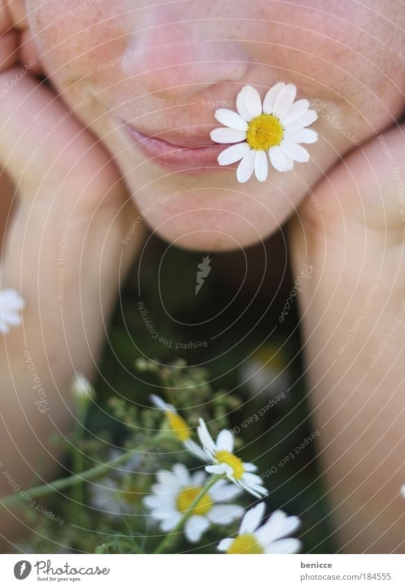 a andre wiesengaudi Meadow Woman Flower Instant messaging Mouth Lips Laughter Smiling Spring Flower meadow Lie Relaxation Infatuation Blossom Chamomile Summer