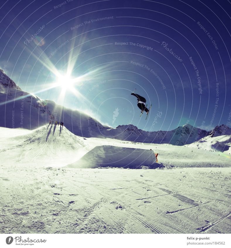 steezin Sports Success Skiing Ski run Halfpipe Human being Masculine Young man Youth (Young adults) 1 Environment Nature Landscape Sky Sun Winter