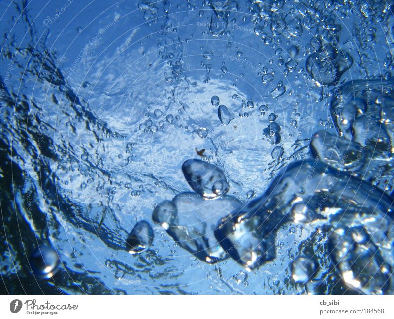 bubbles ... Underwater photo Deserted Dive Swimming pool Elements Air Water Summer Ocean Lake Bubble Blue Cool (slang)