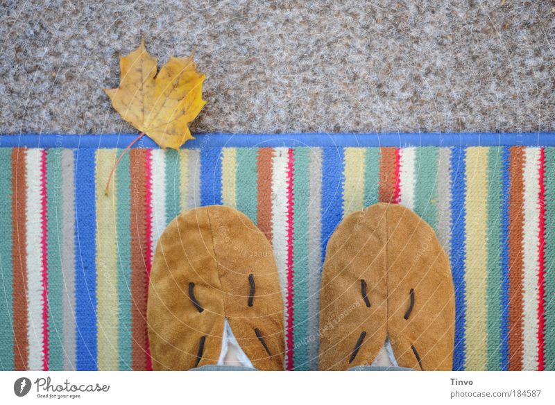 Slippers on a doormat Colour photo Exterior shot Detail Copy Space top Day Expedition Living or residing Flat (apartment) Leaf Stand Multicoloured Contentment