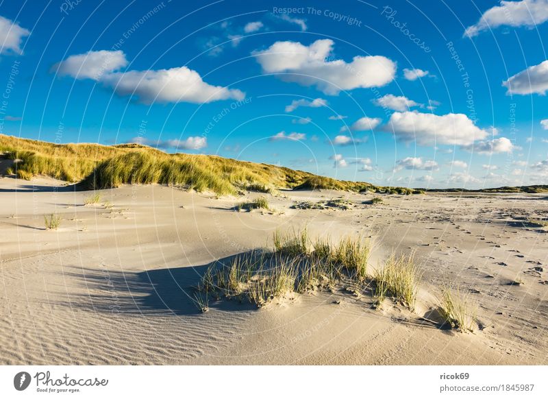 Landscape with dunes on the island of Amrum Relaxation Vacation & Travel Tourism Beach Ocean Island Nature Sand Clouds Autumn Coast North Sea Blue Yellow Dune