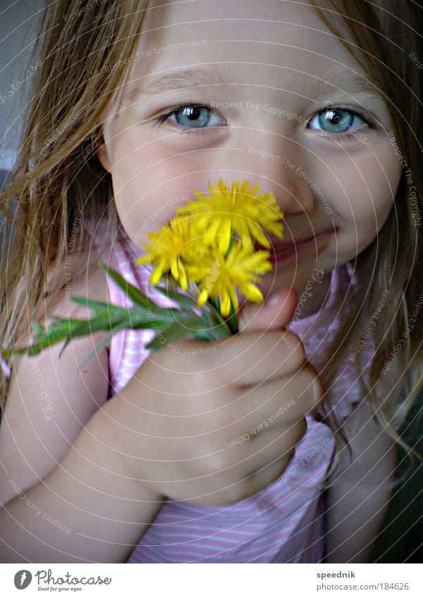 "Papa, happy Mother's Day." Portrait photograph Looking Child Girl Infancy Head Hair and hairstyles Face Eyes 1 Human being 3 - 8 years Flower Blossoming
