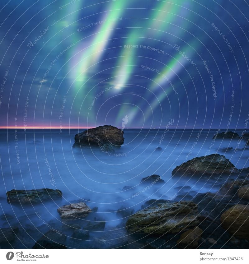 Aurora borealis over the sea Ocean Winter Nature Landscape Sky Lake Dark Bright Natural Green Colour northern Iceland background North Sweden space cold stars