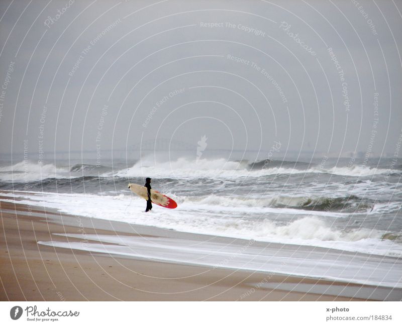 surf. Colour photo Exterior shot Leisure and hobbies Sports Aquatics Sportsperson Human being 1 Nature Landscape Sky Winter Storm Wind Thunder and lightning