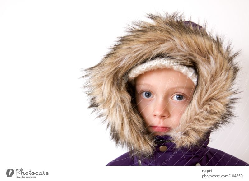winter girl Colour photo Copy Space left Neutral Background Portrait photograph Looking into the camera Girl Head 1 Human being 8 - 13 years Child Infancy