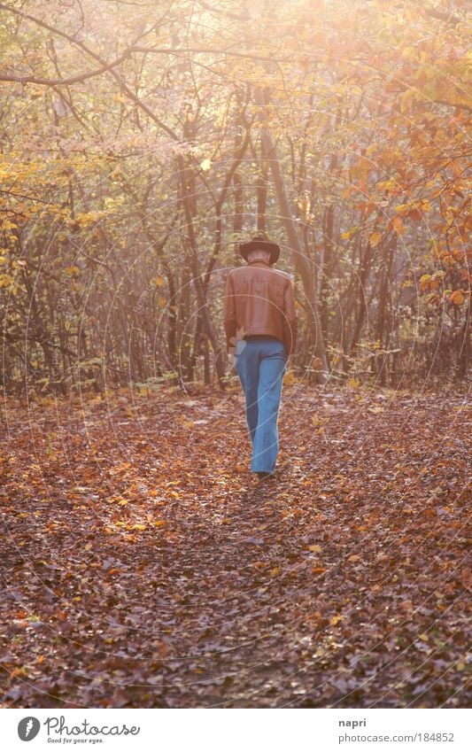 autumn cliché Colour photo Exterior shot Sunrise Sunset Long shot Masculine Man Adults 1 Human being Autumn Forest Hat Think Going Walking Large Warmth Brown