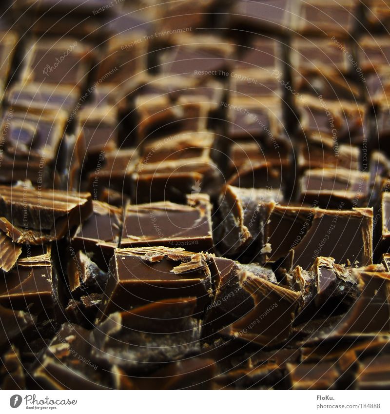 Chocolate battlefield Colour photo Interior shot Close-up Day Shallow depth of field Dessert Candy Nutrition Bakery shop confectioner Kitchen Brown Unhealthy