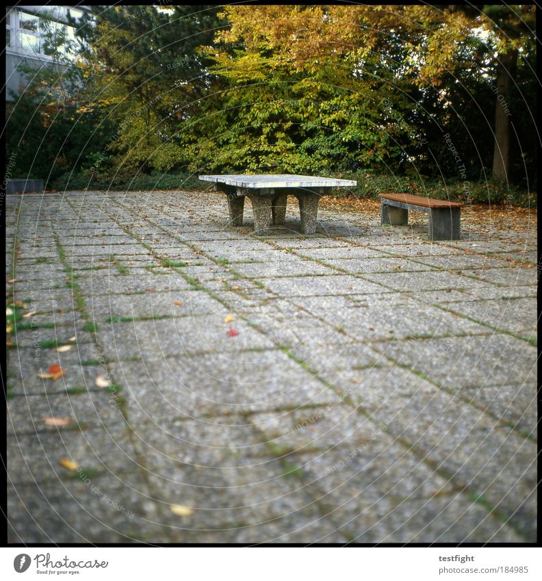 marginalized sport Leisure and hobbies Playing School School building Schoolyard Terrace Loneliness Forget Old Solid Bench Table tennis table Autumn Leaf Tree