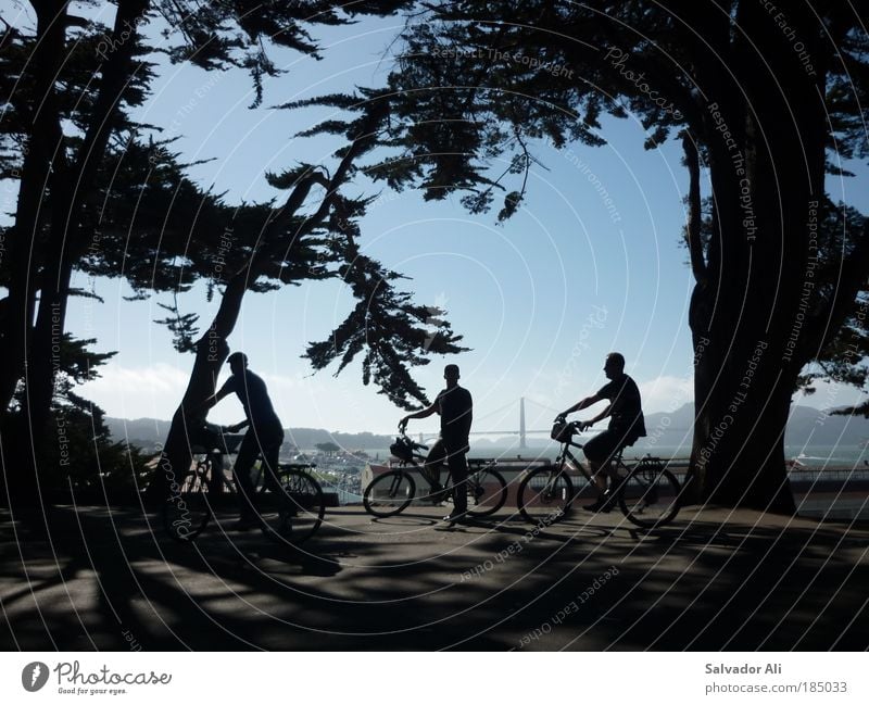 Justus Jonas, Peter Shaw, Bob Andrews. Trip Sightseeing Cycling tour Bicycle Forest San Francisco Golden Gate Bridge USA Americas Discover Relaxation Driving