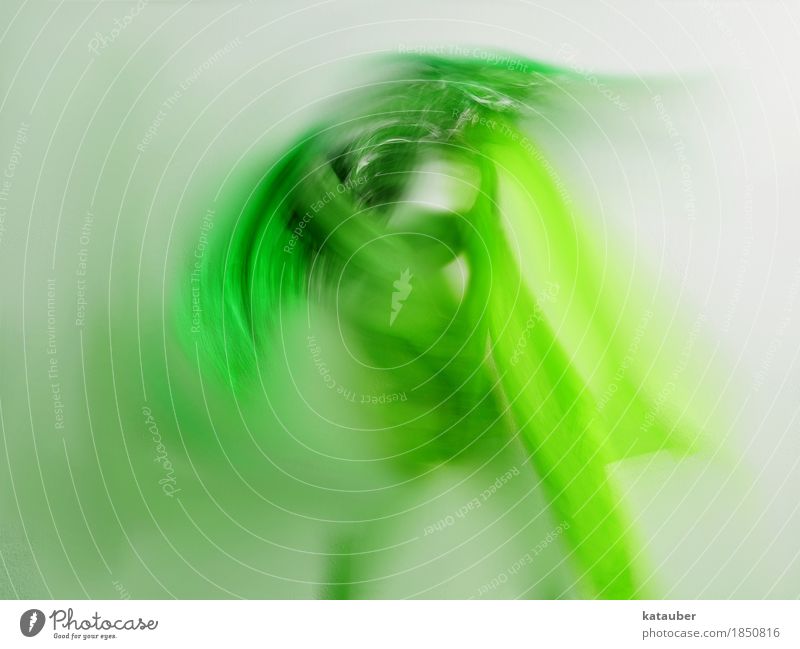 dance of hope Dance Movement Fight Dream Esthetic Athletic Infinity Strong Green Silver Power Life Hope Rag Body Colour photo Experimental Abstract Motion blur