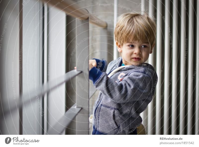 Study university buildings Style Human being Masculine Child Toddler Boy (child) Face 1 1 - 3 years Wall (barrier) Wall (building) Sweater Observe Discover