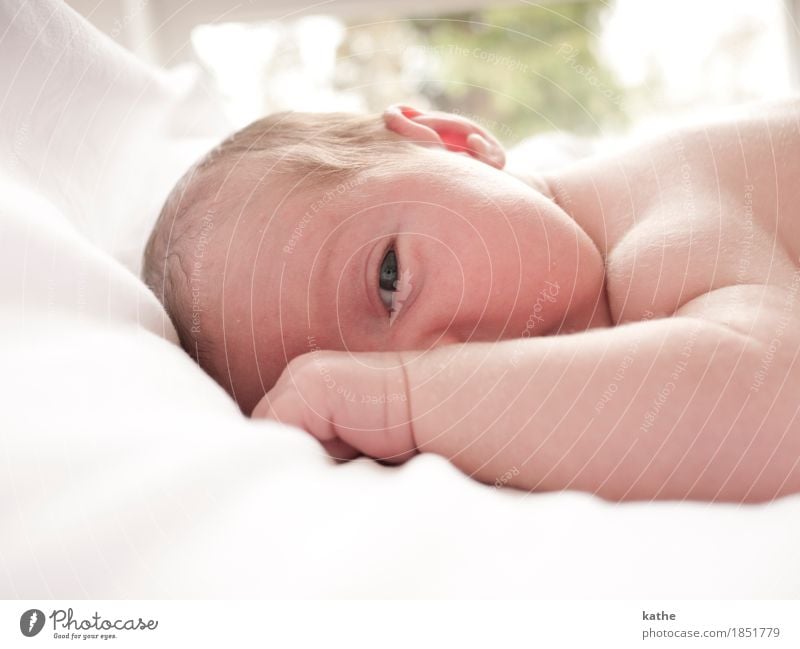Baby DIN 3241 Human being Body Skin 0 - 12 months Naked Cute Emotions Considerate Colour photo Interior shot Copy Space bottom Day Shallow depth of field