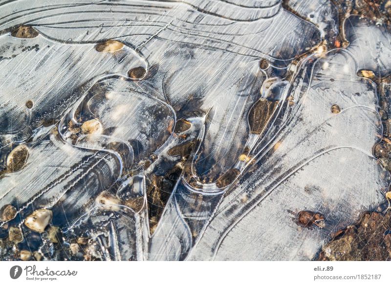 Puddle ice lll Water Winter Ice Frost Cold Idyll Calm Colour photo Exterior shot Close-up Pattern Structures and shapes Deserted Copy Space left