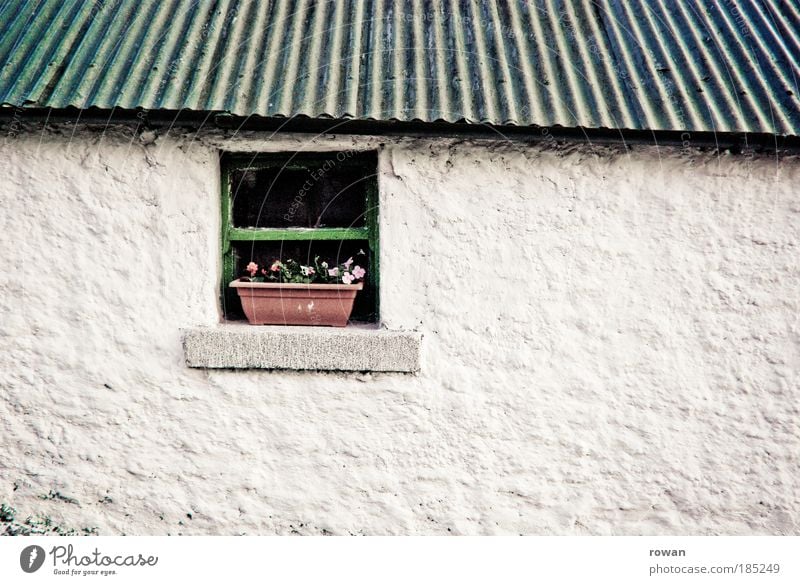 Window to the courtyard House (Residential Structure) Detached house Hut Manmade structures Building Architecture Wall (barrier) Wall (building) Facade Roof