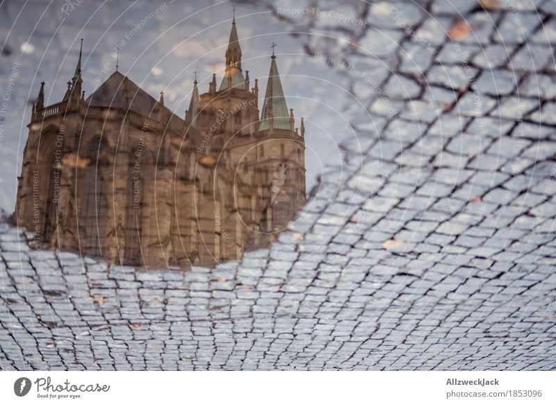 Pompom puddle I Erfurt Town Downtown Old town Deserted Dome Tourist Attraction Landmark Religion and faith Puddle Water Cobblestones Cathedral Square Reflection