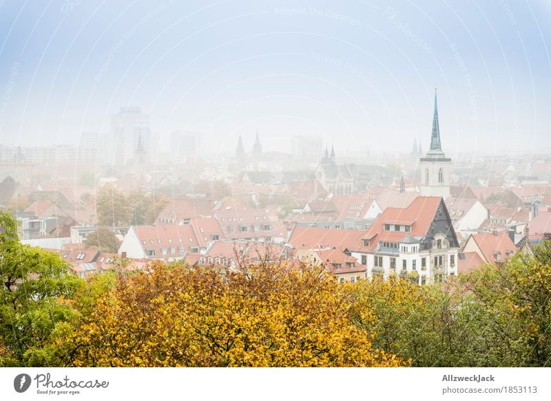 Erfurt in the fog Autumn Fog Town Downtown Old town House (Residential Structure) Church Building Yellow Green Roof Vantage point Skyline Colour photo