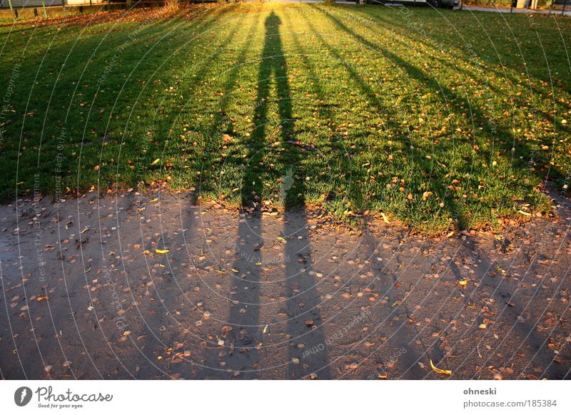 shadow man Human being 1 Earth Autumn Beautiful weather Plant Grass Leaf Meadow Green Colour photo Exterior shot Pattern Evening Twilight Light Shadow Contrast
