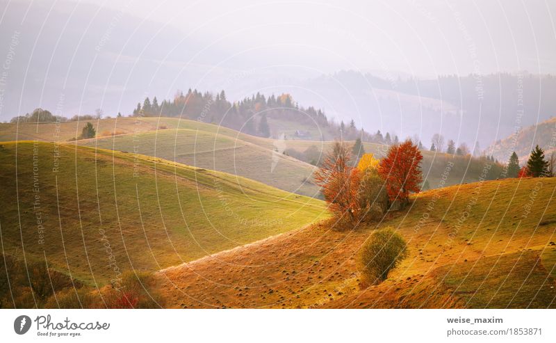 Autumn mountain panorama. October on Carpathian hills. Fall Vacation & Travel Mountain House (Residential Structure) Environment Nature Landscape Air