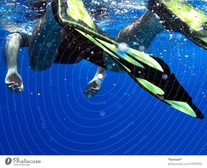 the common yellowfin snorkeler Vacation & Travel Summer vacation Sun Ocean Waves Aquatics Dive Snorkeling Masculine Man Adults Skin Arm Hand Legs Feet 1