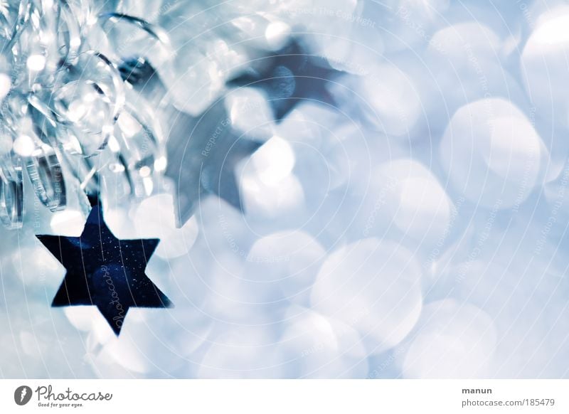sidereal Feasts & Celebrations Winter Sign Star (Symbol) Star of Bethlehem Christmas star Glittering Illuminate Cool (slang) Fantastic Happiness Fresh Cold Blue