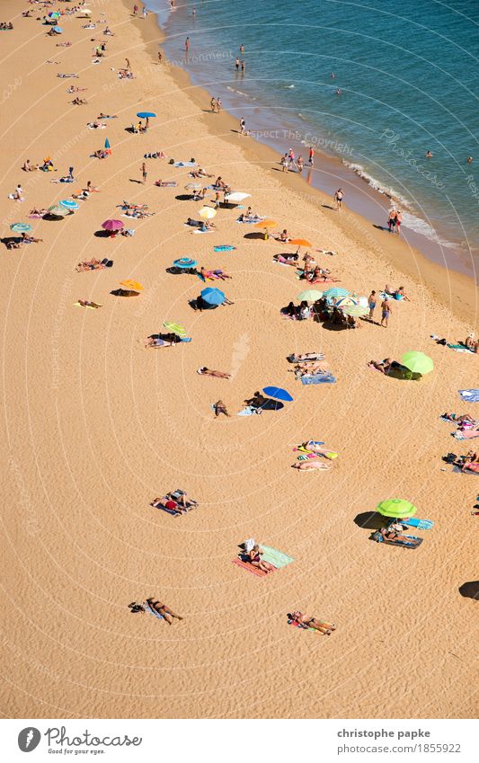 Bird's eye view of people on the beach Beach Ocean Tourism Vacation & Travel Summer vacation Package tour Sunbathing Relaxation Swimming & Bathing Human being