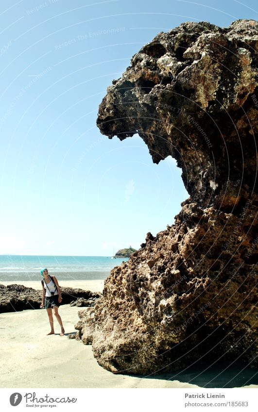 muttonhead Woman Adults 1 Human being Nature Landscape Cloudless sky Rock Ocean Creepy Coast Australia Queensland Fear To feed Set of teeth Large Sand