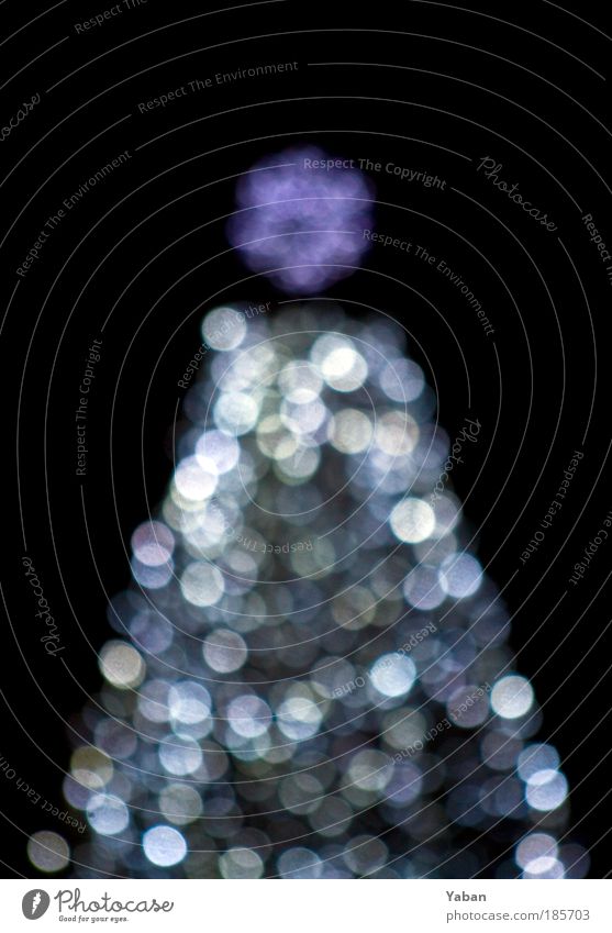 Christmas Tree - Under the Xmas tree Feasts & Celebrations Shows Decoration Candle Sign Glittering Illuminate Violet Black Silver White Christmas tree