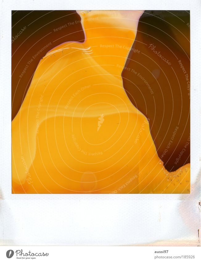 Happy birthday, Photocase! Polaroid Abstract Melt Expired Art instant film Brown Yellow