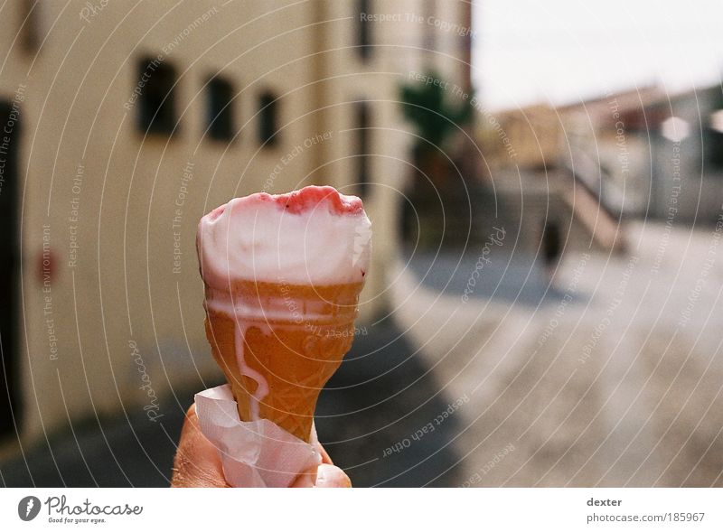 Happy birthday, photographers! Ice cream Candy Well-being Summer Summer vacation Sun Delicious Colour photo Exterior shot Shallow depth of field Day
