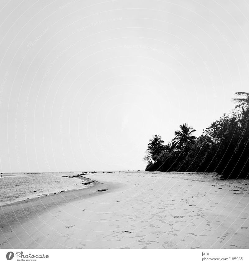 HAPPY BIRTHDAY PHOTOCASE! Nature Landscape Sand Water Cloudless sky Plant Tree Beach Ocean To enjoy Vacation & Travel India Black & white photo Exterior shot