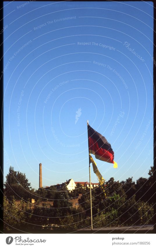 Flag on half gold Nature Plant Sky Cloudless sky Summer Beautiful weather Tree Industrial plant Factory Chimney Sign Old Friendliness Broken Stress Success