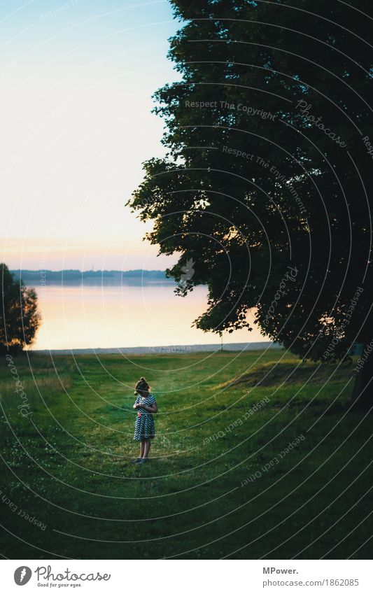 At the lake Human being Child Girl Body 1 Environment Nature Landscape Water Sky Horizon Sunrise Sunset Sunlight Spring Summer Beautiful weather Park Meadow