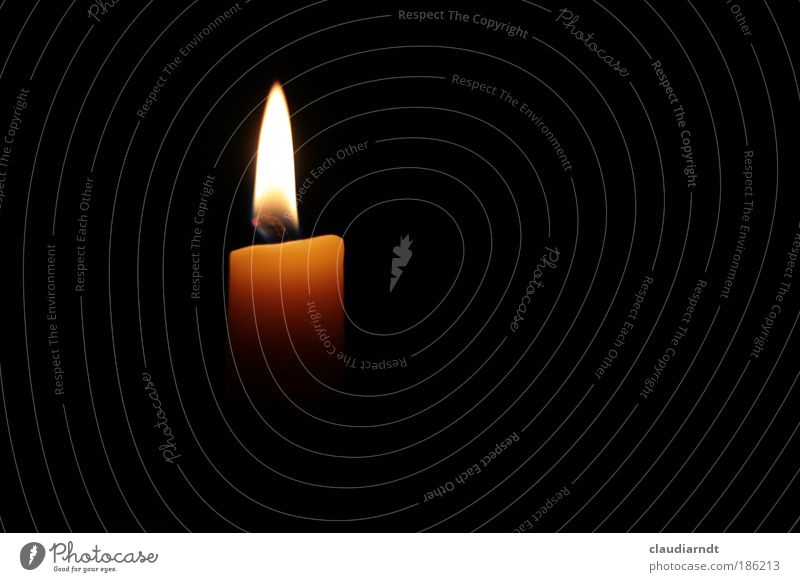 Light that illuminates the night Funeral service Candle Sign Esthetic Dark Hot Bright Yellow Black Trust Safety (feeling of) Warm-heartedness To console Hope