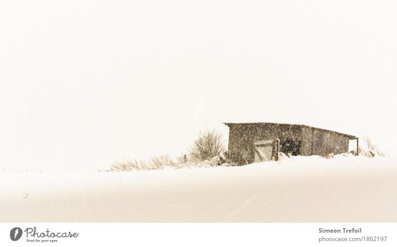 winter cabin Trip Adventure Winter Snow Hiking Field Deserted Hut Door Freeze Living or residing Old Threat Simple Creepy Brown White Loneliness Exhaustion
