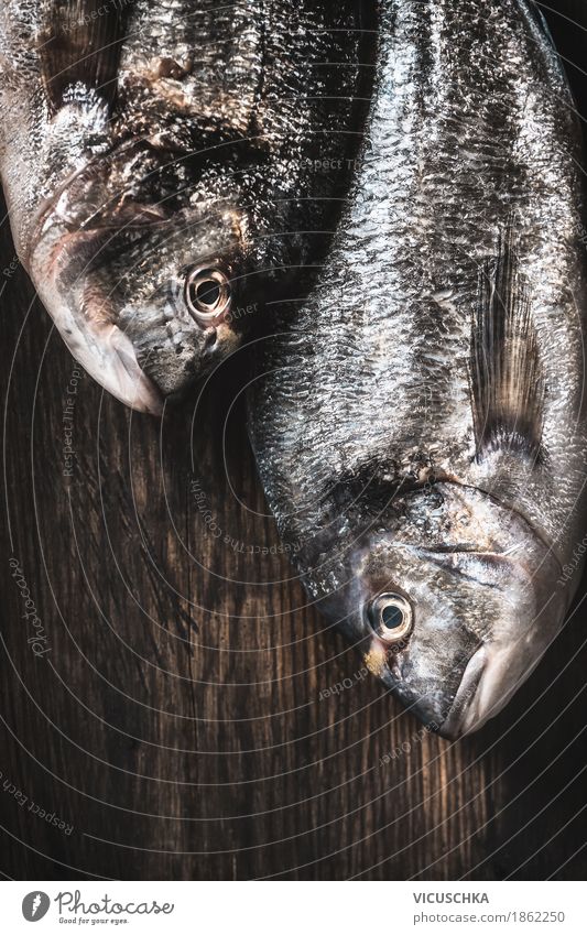 Two Dorado fish hanging on dark background Food Fish Organic produce Vegetarian diet Diet Style Design Leisure and hobbies Fishing (Angle) Cooking Raw