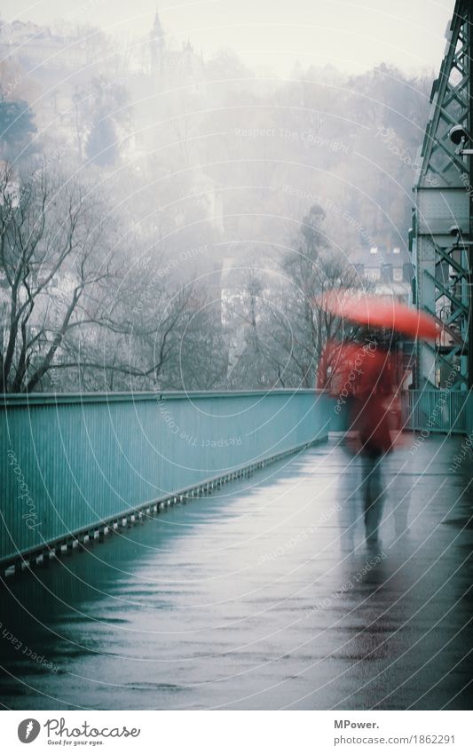 rainday Human being Woman Adults 1 Town Old town Populated Bridge Going Rain Umbrella Red Turquoise Wet Loneliness Sadness Gray Autumn Gloomy Weather Handrail
