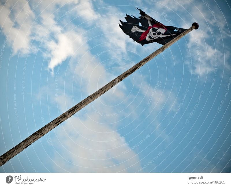 Pirate party on the rise Flagpole Sky Death's head Aviation Colour photo Exterior shot Deserted Day