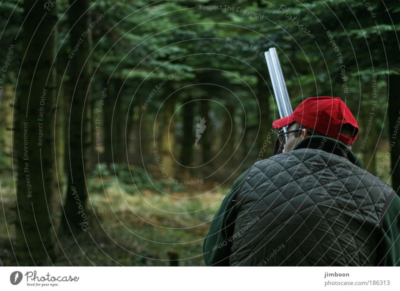 Hunting Masculine Man Adults Head Back 1 Human being Nature Autumn Tree Forest Clothing Cap Rifle Observe Think Crouch Looking Wait Authentic Dark Near Green