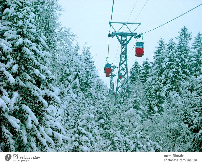 upstairs and then down again Winter sports Cable car Gondola Red Virgin snow Fir tree Winter vacation Means of transport Mountain Winter forest Cold