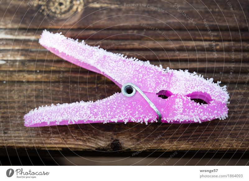 cold sacrifice Clothes peg Cold Brown Pink Holder Frost Hoar frost Ice crystal Wooden board Landscape format Forget Colour photo Multicoloured Exterior shot