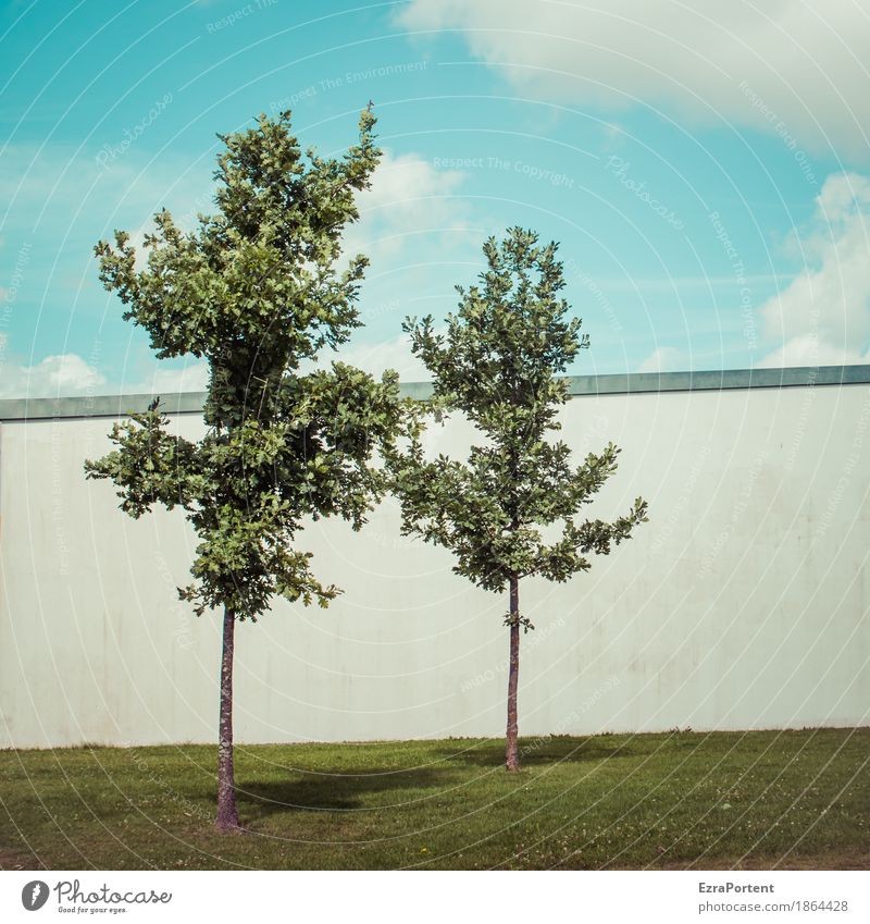 twins Environment Nature Sky Clouds Climate Plant Tree Grass Wall (barrier) Wall (building) Facade Line Blue Gray Green White Sympathy Together Attachment 2