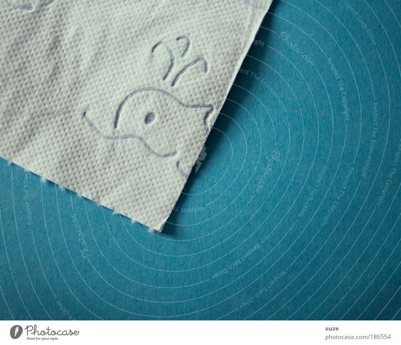 animal protection ... Paper Toilet paper Clean Blue White Whale Embossing Whale watching Animal figure Graphic Illustration Contour Neutral Background